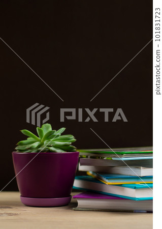 Stack of books on a table and a pot with a succulent plant. Copyspace. Home schooling and reading enjoyment concept. Stack of books on a table and a pot with a succulent plant. Copyspace. Home schooling and reading enjoyment concept. 101831723