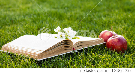 Open book on green grass with fresh red apples and a pear flowers Open book on green grass with fresh red apples and a pear flowers 101831752