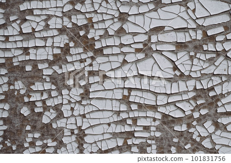 Background texture. Gray surface with white old cracked paint. Top view, copy space Background texture. Gray surface with white old cracked paint. Top view, copy space 101831756