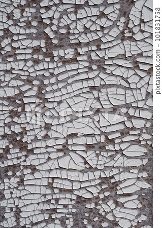 Background texture. Gray surface with white old cracked paint. Top view, copy space. Vertical Background texture. Gray surface with white old cracked paint. Top view, copy space. Vertical 101831758