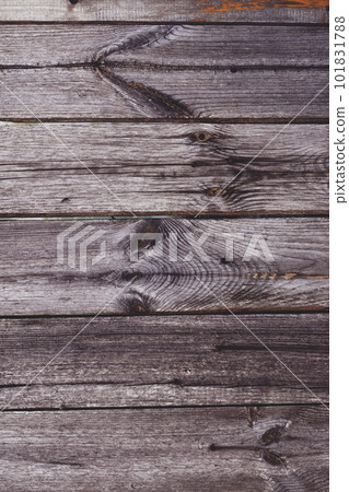 Background texture. Aged gray plank surface with nails. Copy space. Vertical Background texture. Aged gray plank surface with nails. Copy space. Vertical 101831788