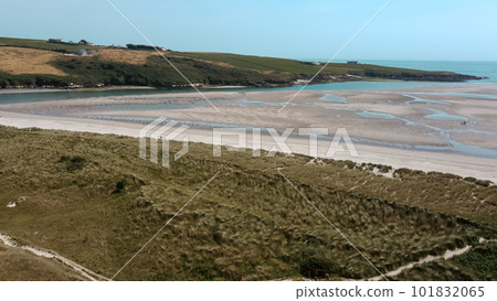 Huge sandy beach at low tide, top view. Sandy coast covered with thickets of beachgrass. 101832065