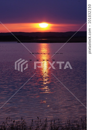北海道白鹿湖的夕陽 北海道白鹿湖的夕陽 101832150