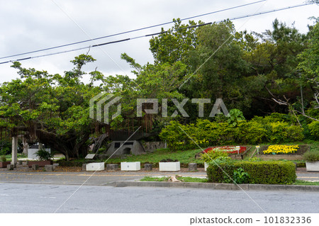 沖繩縣那霸市全景松山公園 101832336