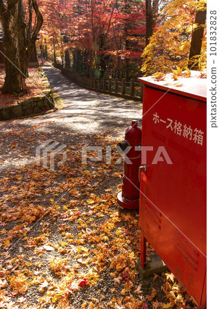 221111Hie Shrine z187 101832828