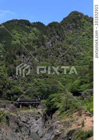 高山本線普通列車在新綠的喜水京行駛 101832915