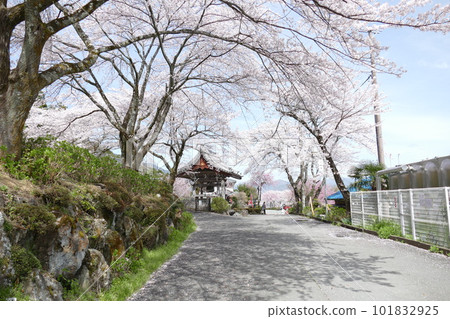 岐阜縣池田町 Yuka no Sato 附近的春天景色 岐阜縣池田町 Yuka no Sato 附近的春天景色 101832925