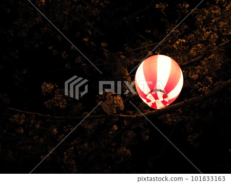 Lantern 101833163