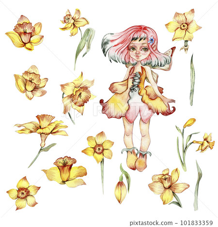 Narcissus, watercolor flower set with fary girl. Hand drawn illustration. Summer yellow garden. Designf for baby shower party, birthday, cake, holiday celebration design, greetings card, invitation. Narcissus, watercolor flower set with fary girl. Hand drawn illustration. Summer yellow garden. Designf for baby shower party, birthday, cake, holiday celebration design, greetings card, invitation. 101833359