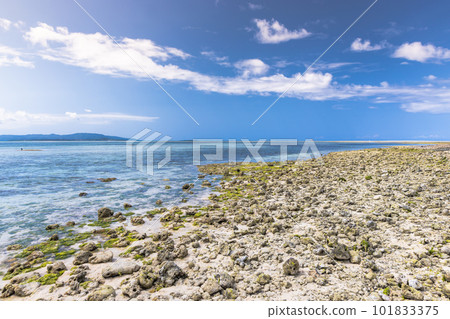 沖繩縣竹富島星砂海灘景觀 101833375