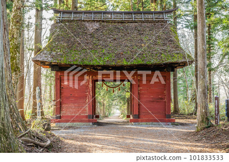 Five Togakushi Shrines 101833533