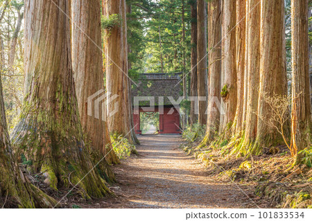 Five Togakushi Shrines Five Togakushi Shrines 101833534