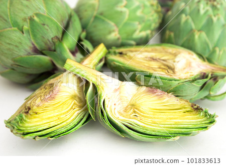 green artichokes on white background green artichokes on white background 101833613