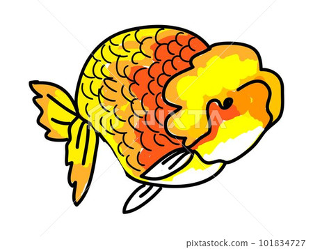 Doodle Cartoon of Goldfish on Round Background Doodle Cartoon of Goldfish on Round Background 101834727