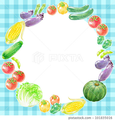 Round frame material of summer vegetables on blue checkered background 101835016