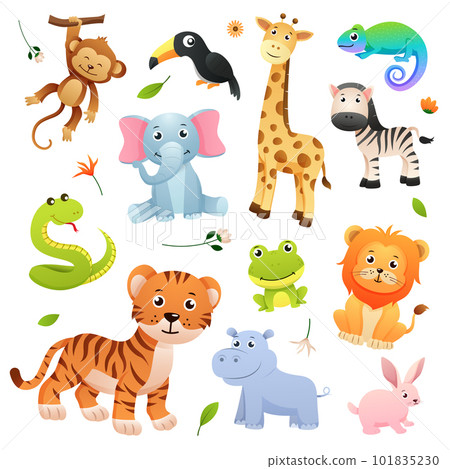 Set of wildlife animals cartoon character with decorative natural elements . Vector . 101835230