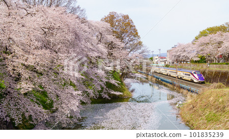 山形新幹線穿過嘉城公園 101835239