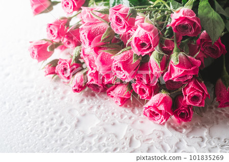 Blurred creative background of pink rose flowers. Partially defocused roses with water drops. Copy space 101835269