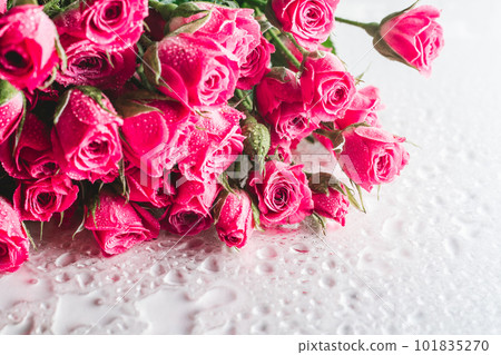 Blurred creative background of pink rose flowers. Partially defocused roses with water drops. Copy space 101835270