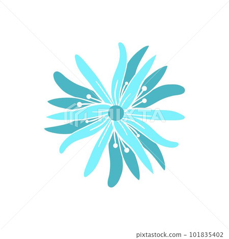 wild flower. Floral herbal plants with blue flowers. Delicate field and meadow wildflowers and herbs. Botanical flat vector illustration of delicate summer flora isolated on white background wild flower. Floral herbal plants with blue flowers. Delicate field and meadow wildflowers and herbs. Botanical flat vector illustration of delicate summer flora isolated on white background 101835402