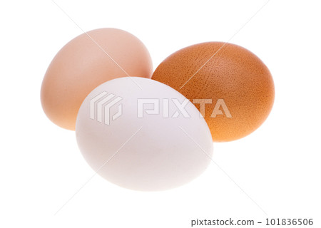 chicken egg isolated chicken egg isolated 101836506
