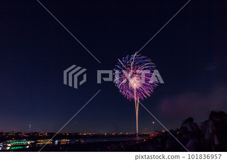 Ichikawa City Summer Fireworks Festival Chiba Prefecture Ichikawa City Summer Fireworks Festival Chiba Prefecture 101836957