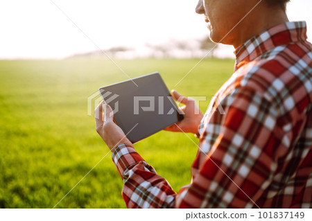 Farmer on a green wheat field with a tablet in his hands. Farmer checking his crops on an agricultural. Farmer on a green wheat field with a tablet in his hands. Farmer checking his crops on an agricultural. 101837149