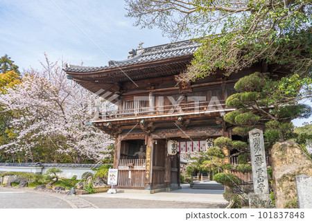 [No.1 Fudasho]櫻花盛開的神山寺廟的Niomon門[四國88處] 101837848