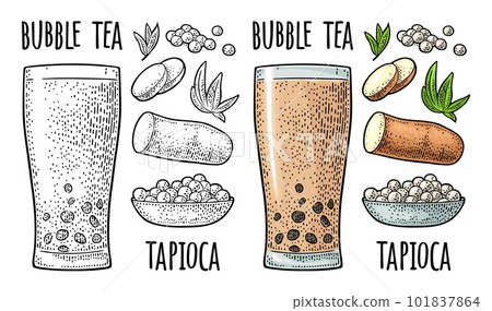 Bubble milk tea with tapioca pearl ball in glass and ingredients engraving 101837864