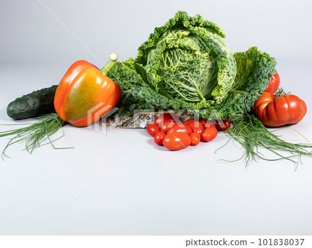Fresh savoy cabbage, paprika, cucumber, green onion, tomatoes on gray background. Top view detox concept, vegan, food cooking ingredients Fresh savoy cabbage, paprika, cucumber, green onion, tomatoes on gray background. Top view detox concept, vegan, food cooking ingredients 101838037