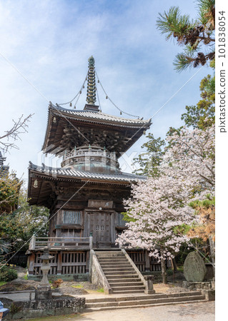 [No.1 Fudasho]櫻花盛開的靈善寺多寶塔[四國八十八寺] 101838054