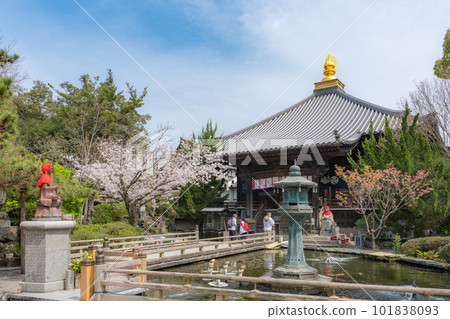 [No. 1 Fudasho] Daishido, a sacred mountain temple in which cherry blossoms bloom [Shikoku 88 temples] 101838093