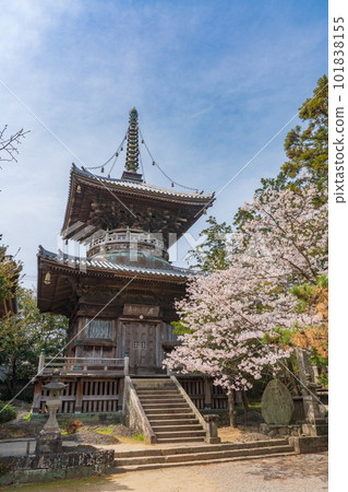 [No.1 Fudasho]櫻花盛開的靈善寺多寶塔[四國八十八寺] 101838155