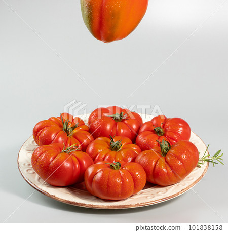 A group of Costoluto big tomatoes on a white background A group of Costoluto big tomatoes on a white background 101838158