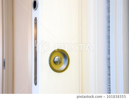 Modern white wooden door  101838355