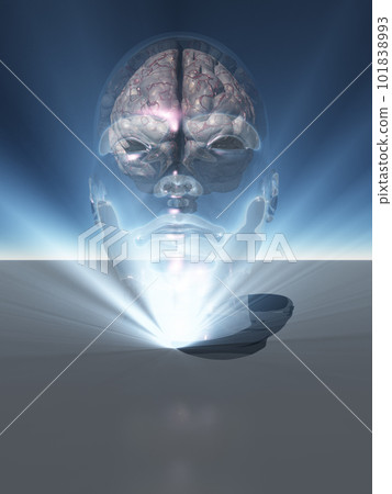 Human head 101838993