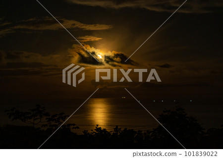 Blood moon rise over the horizon  101839022