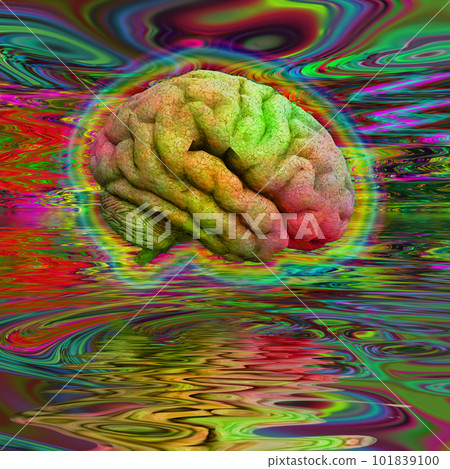Psychedelic Brain 101839100