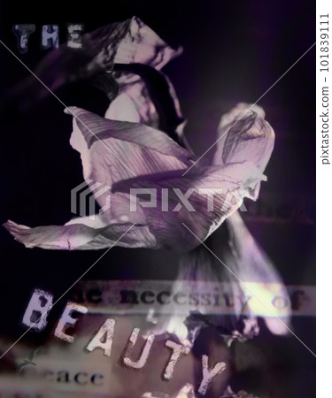 Wilted flower Wilted flower 101839111