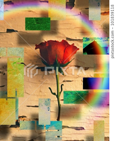 Passion Rose Passion Rose 101839118
