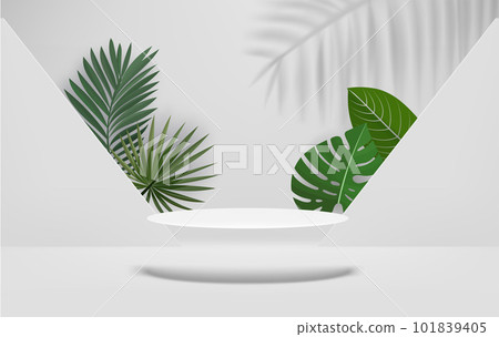 Bright interior with podium and green leaves. Eco friendly product showcase template. 3d vector background 101839405
