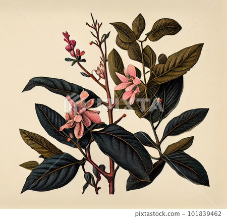 Fantasy Non-Existent Plant, Bhringraj -like Botanical Illustration, Abstract Generative AI Illustration Fantasy Non-Existent Plant, Bhringraj -like Botanical Illustration, Abstract Generative AI Illustration 101839462