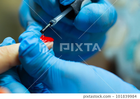 A manicurist in blue gloves covers the nails with a long-lasting red gel polish. 101839984