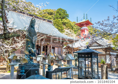 [No.23 Fudasho]春天的玉器塔，魚嵐觀音，藥王寺[四國88寺院] 101840104