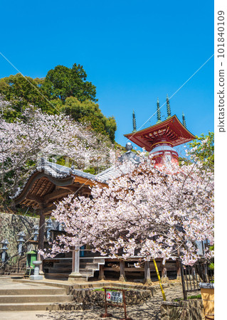 【23號不動所】春藥王寺、朝聖塔【四國88處】 101840109