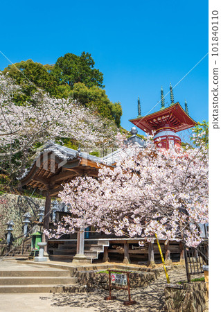 [No. 23 Fudasho] Spring Yakuoji Temple, Pilgrimage Tower [88 places in Shikoku] 101840110