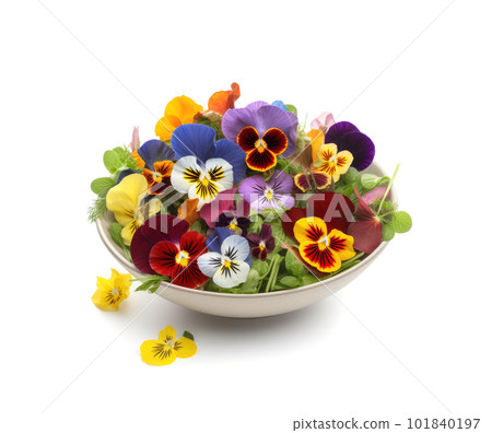 Flower Salad, Edible Flowers Dish, Pansy Salat, Abstract Generative AI Illustration Flower Salad, Edible Flowers Dish, Pansy Salat, Abstract Generative AI Illustration 101840197