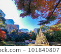 A garden with a pond with beautiful autumn leaves 101840807
