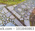 Cobblestone with fallen leaves 101840863