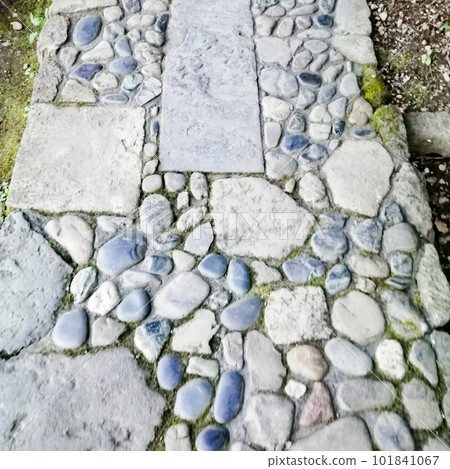 有青苔的鵝卵石路 101841067